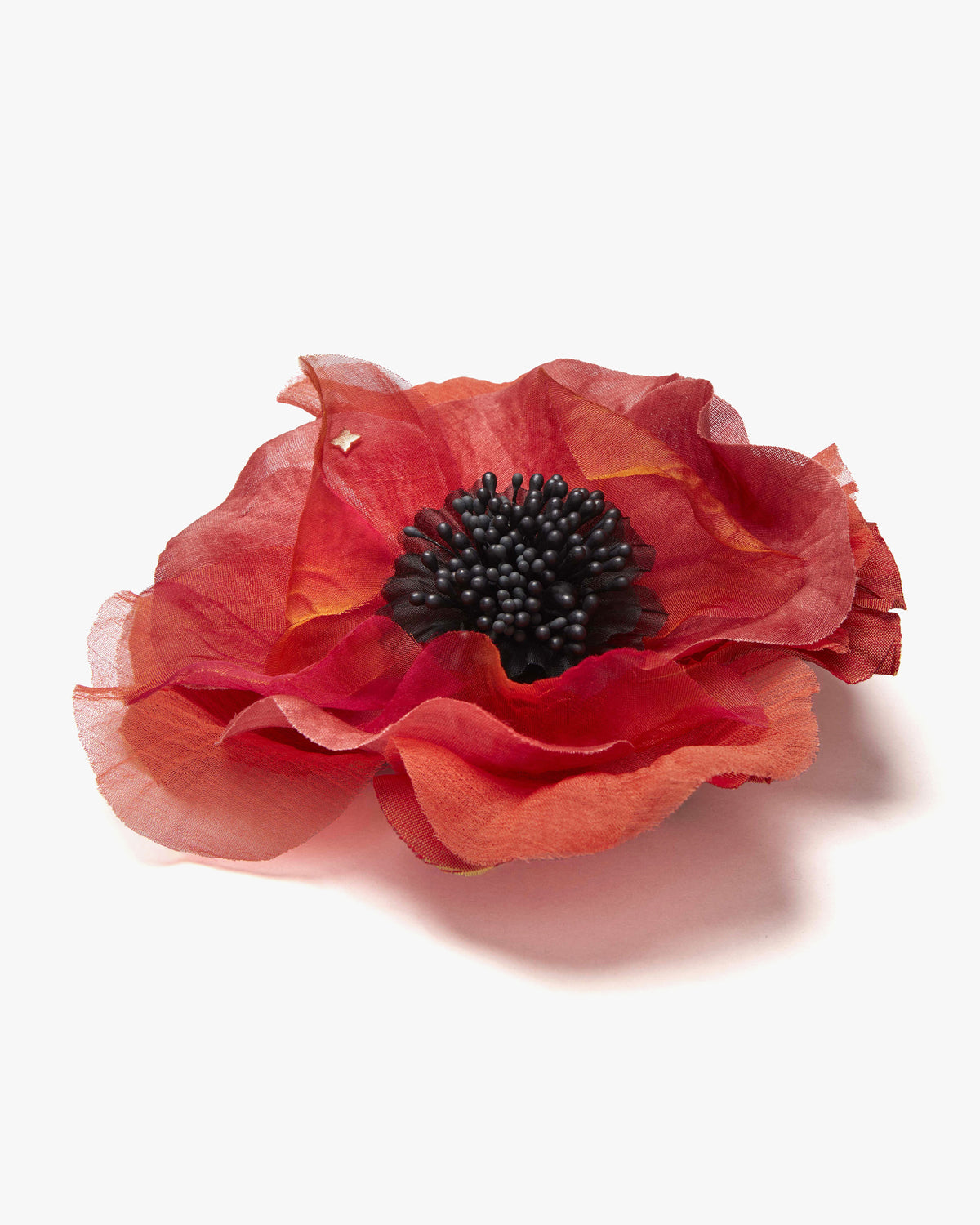 The Orange Poppy