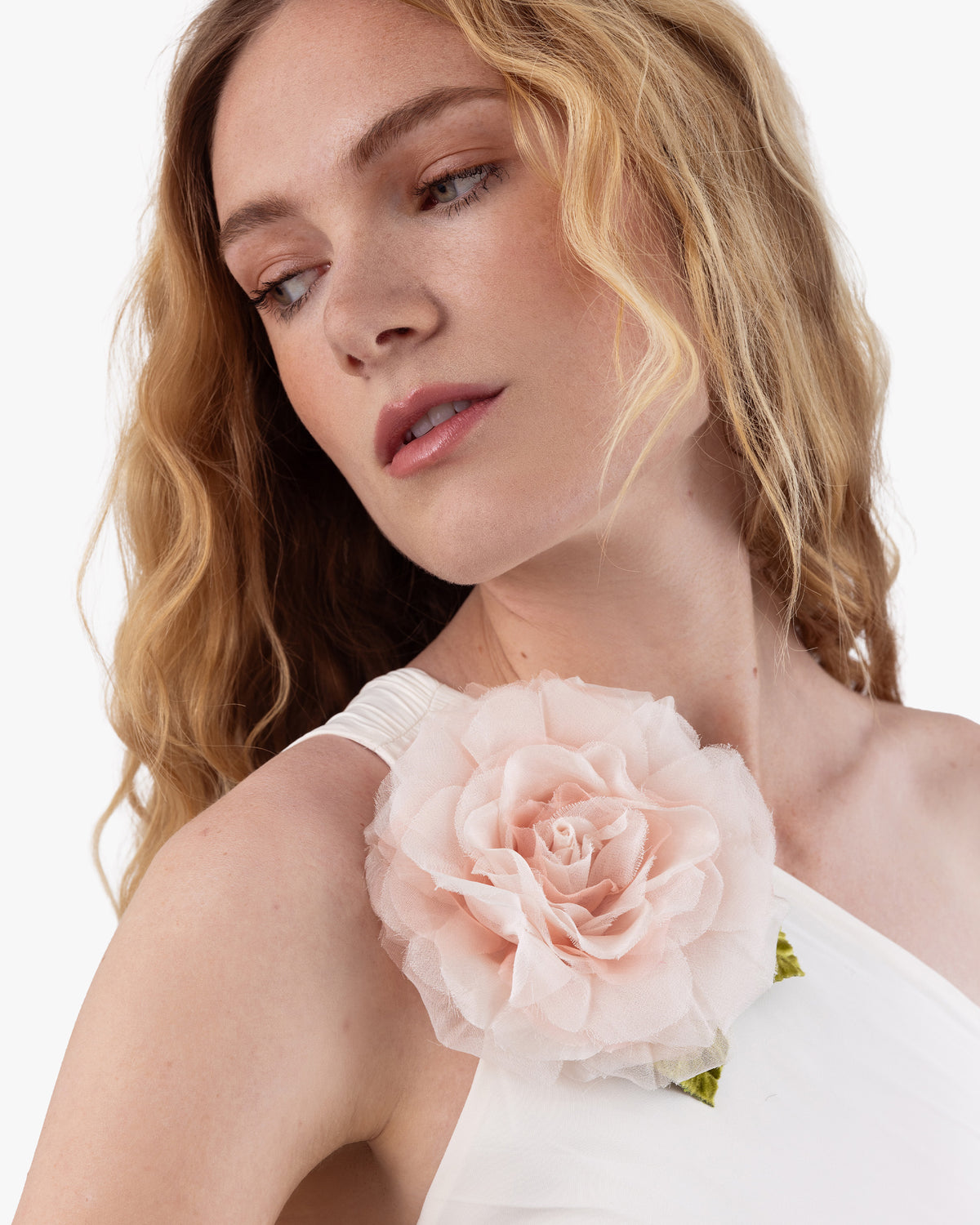 Large Pale Pink Rose