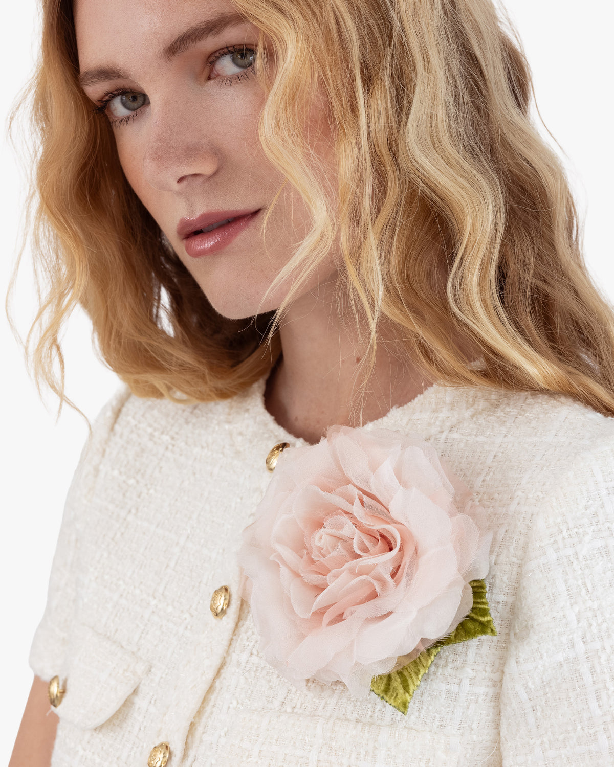 Large Pale Pink Rose