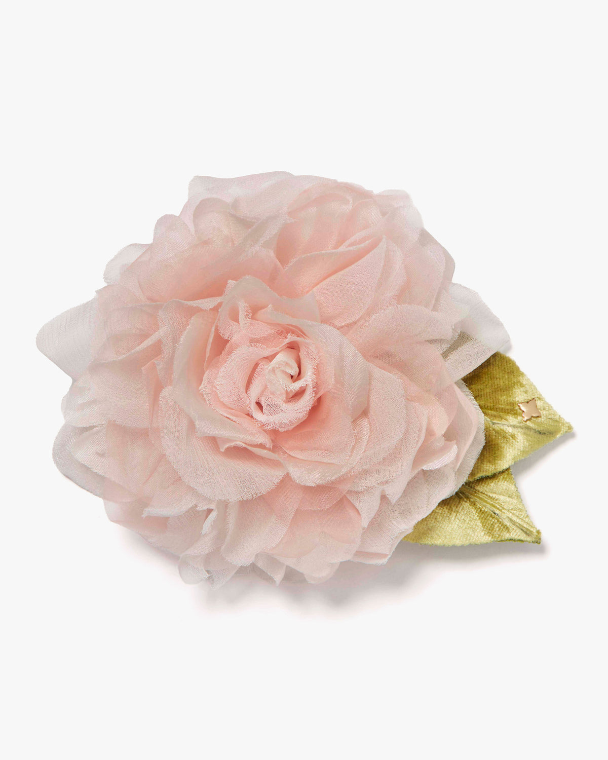 Large Pale Pink Rose
