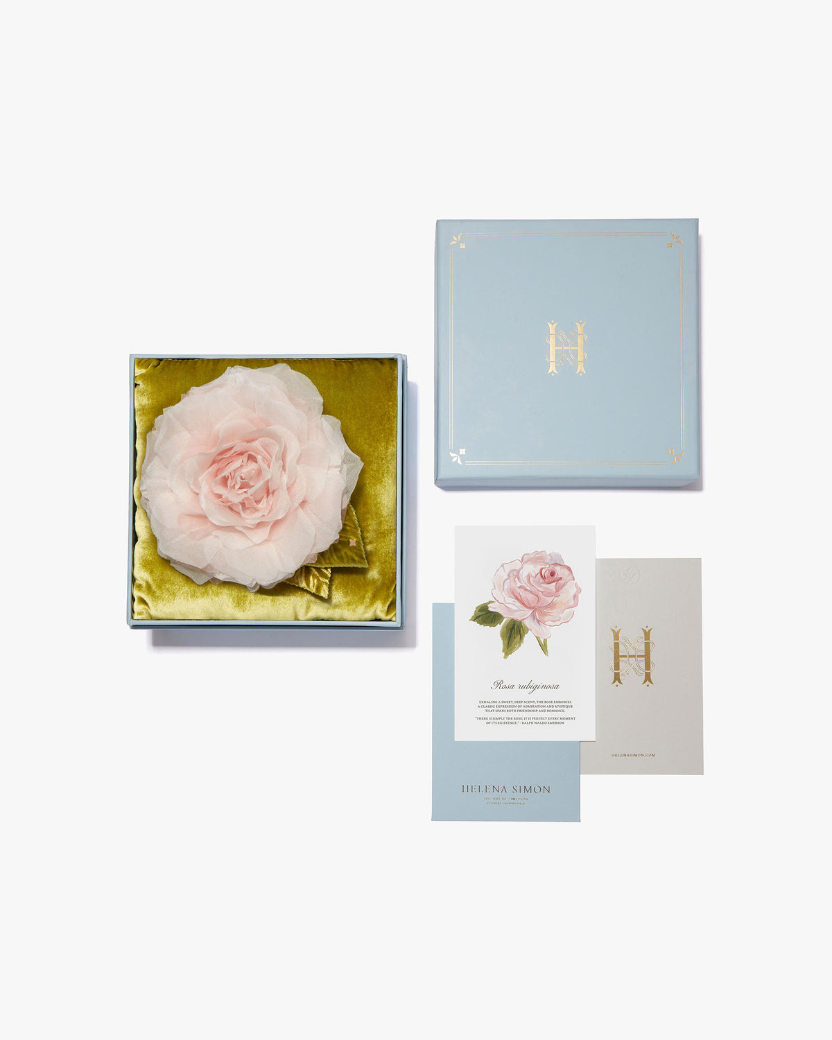 Large Pale Pink Rose