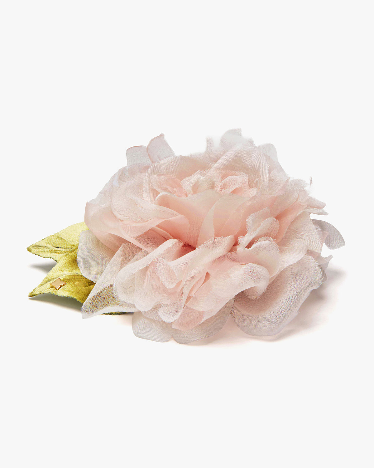 Large Pale Pink Rose