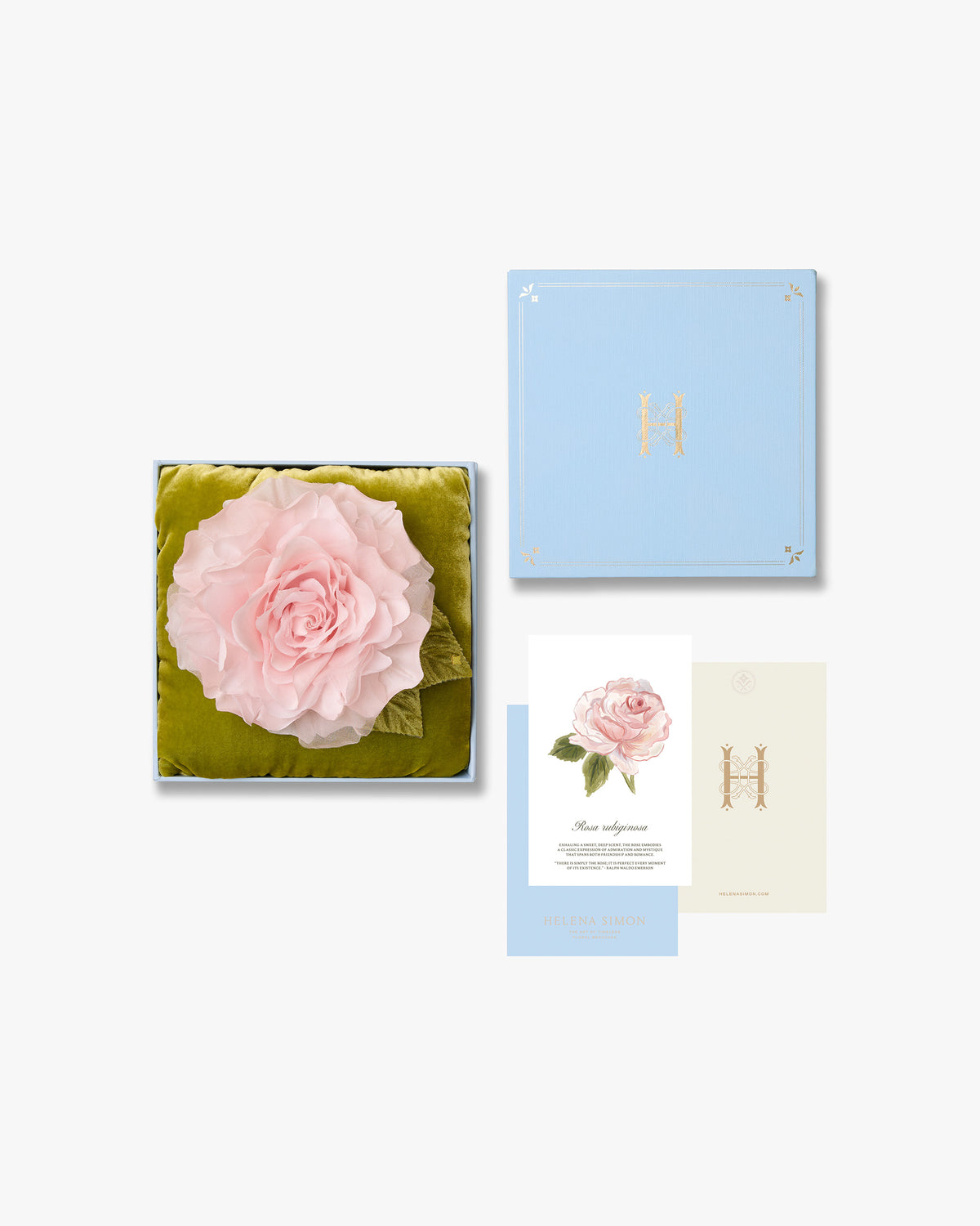 New Large Pale Pink Rose