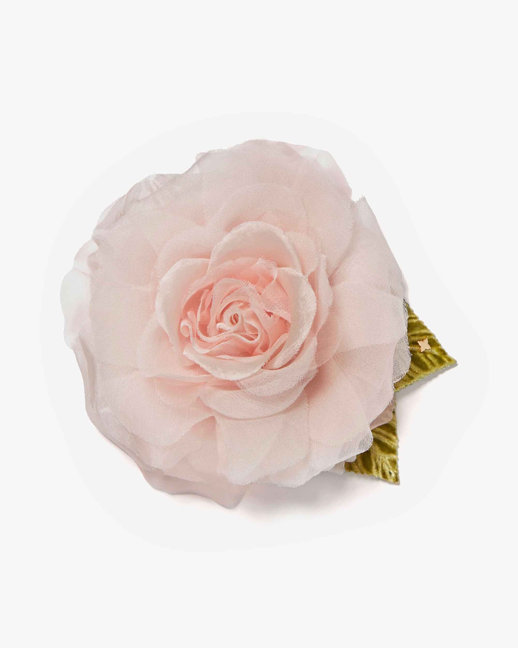 Small Pale Pink Rose