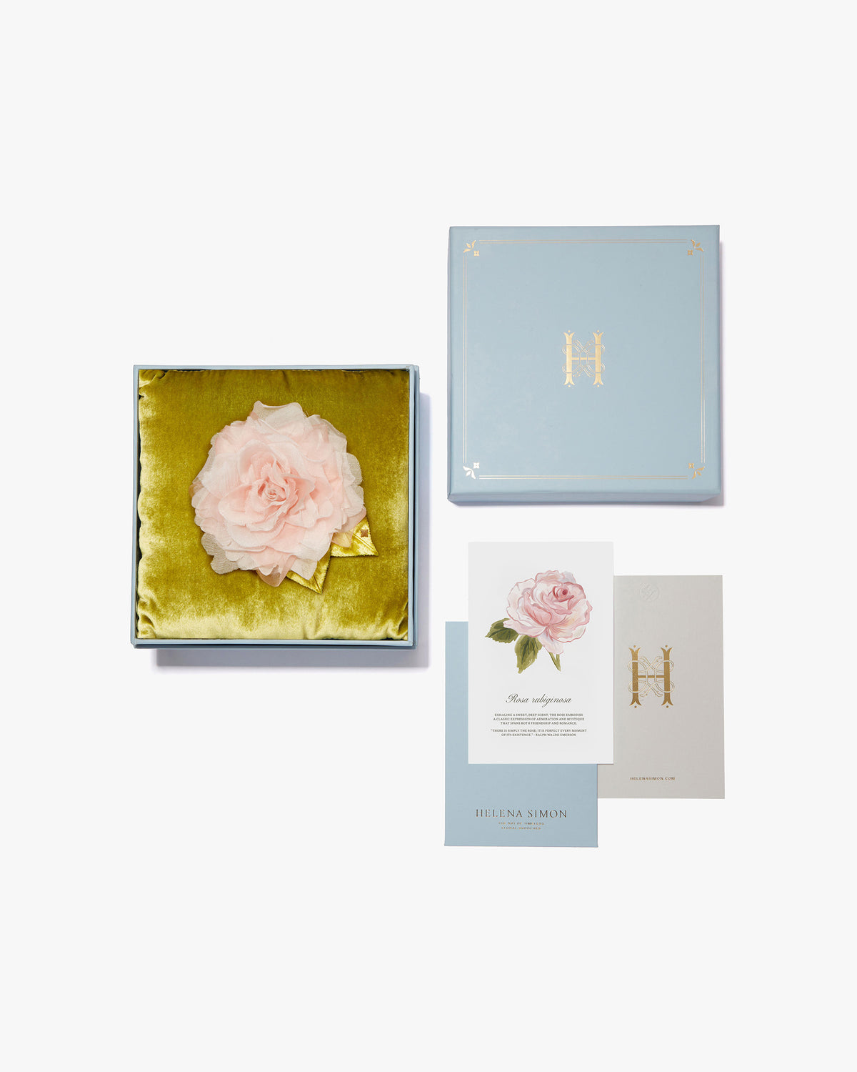 Small Pale Pink Rose