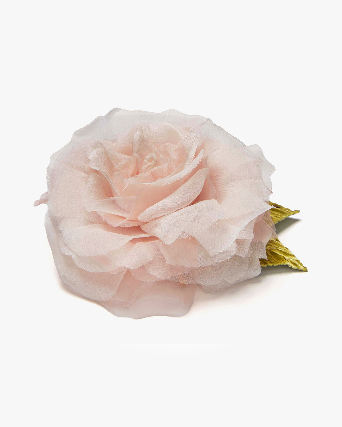 Small Pale Pink Rose