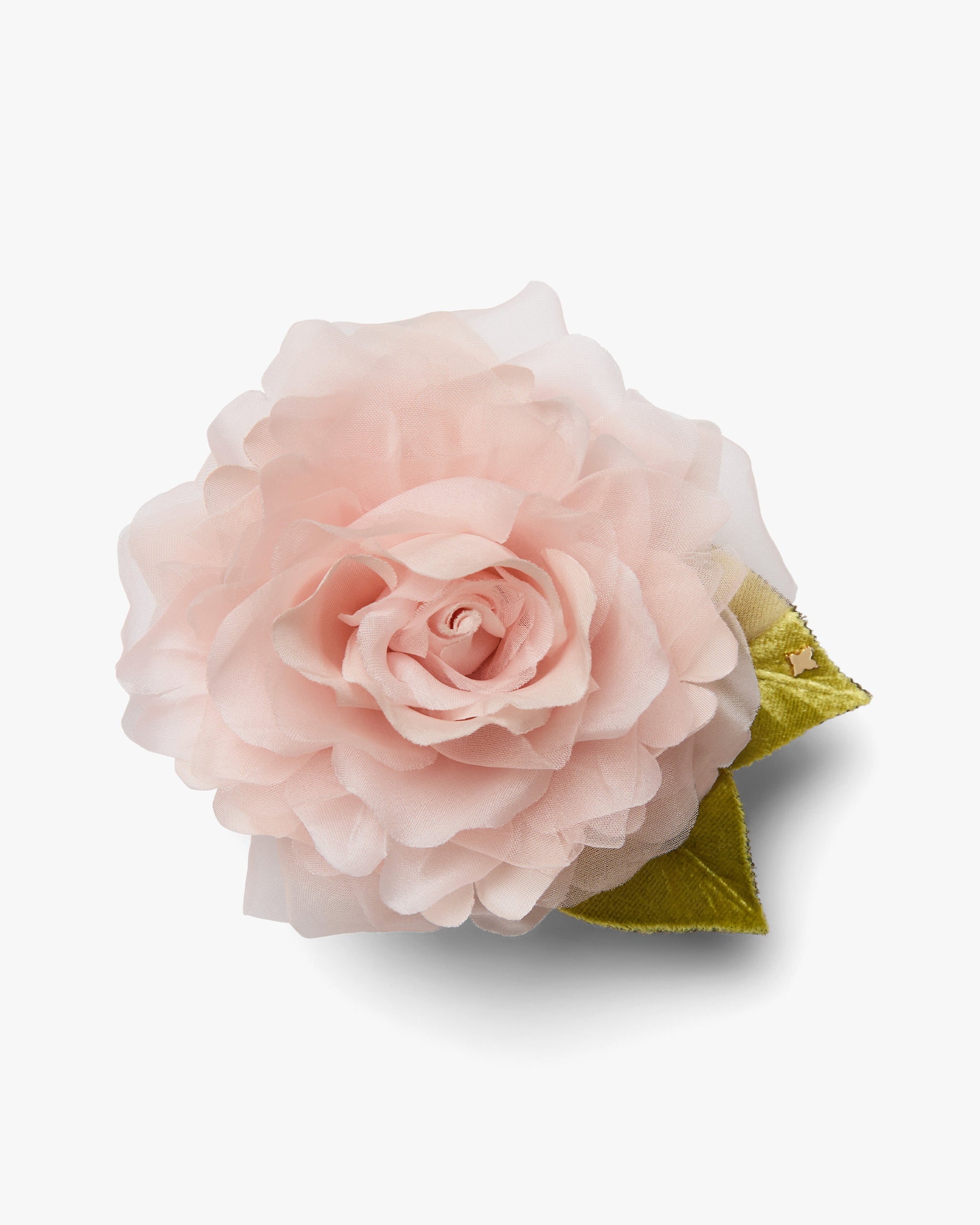 New Small Pale Pink Rose
