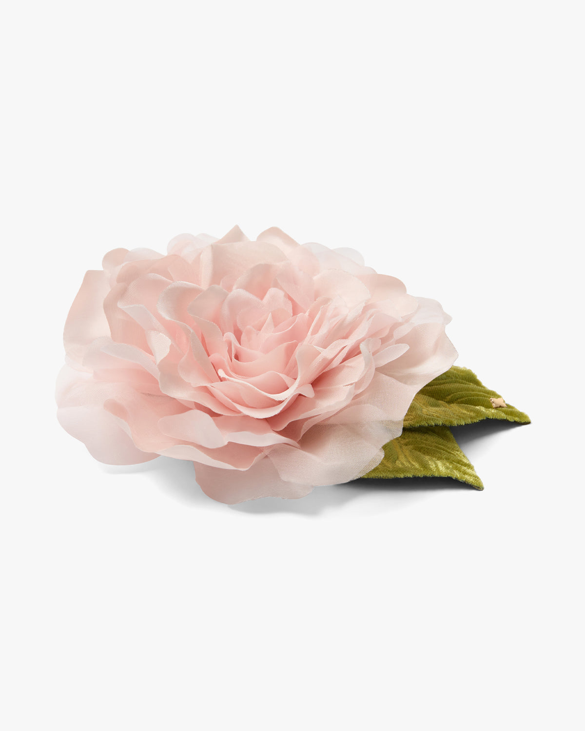New Small Pale Pink Rose