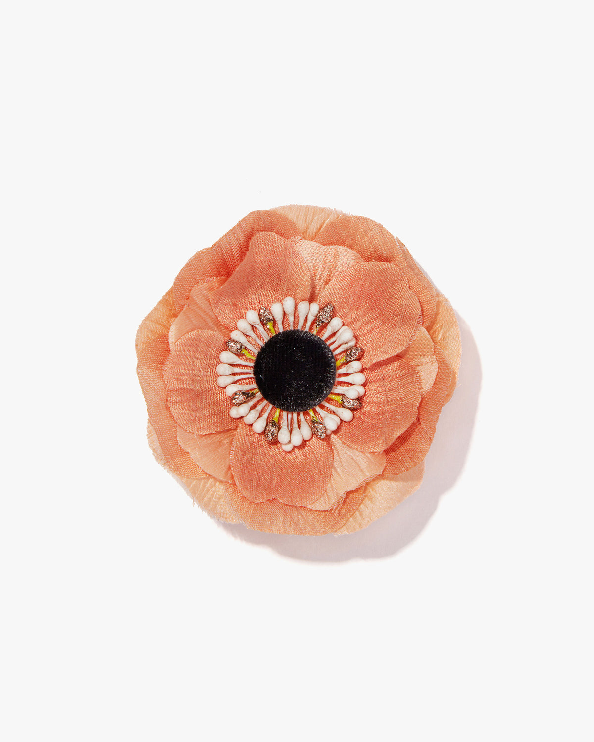 The Peach Anemone
