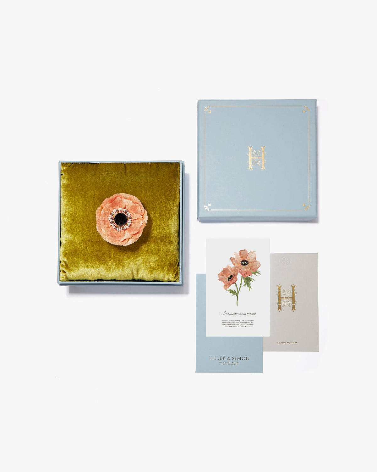 The Peach Anemone