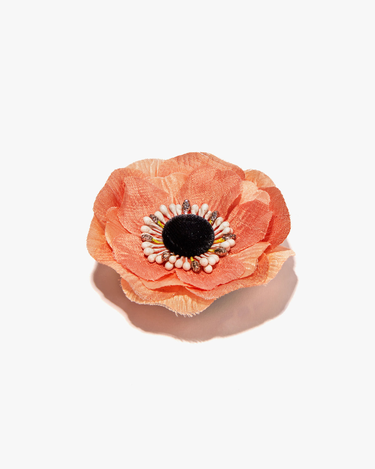 The Peach Anemone