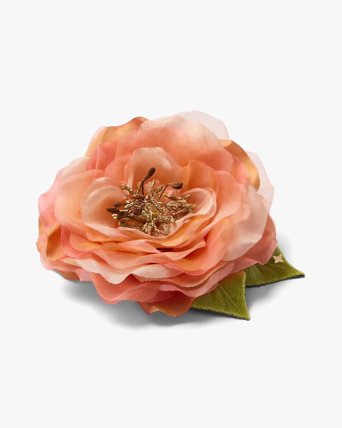 The Peach Open Rose