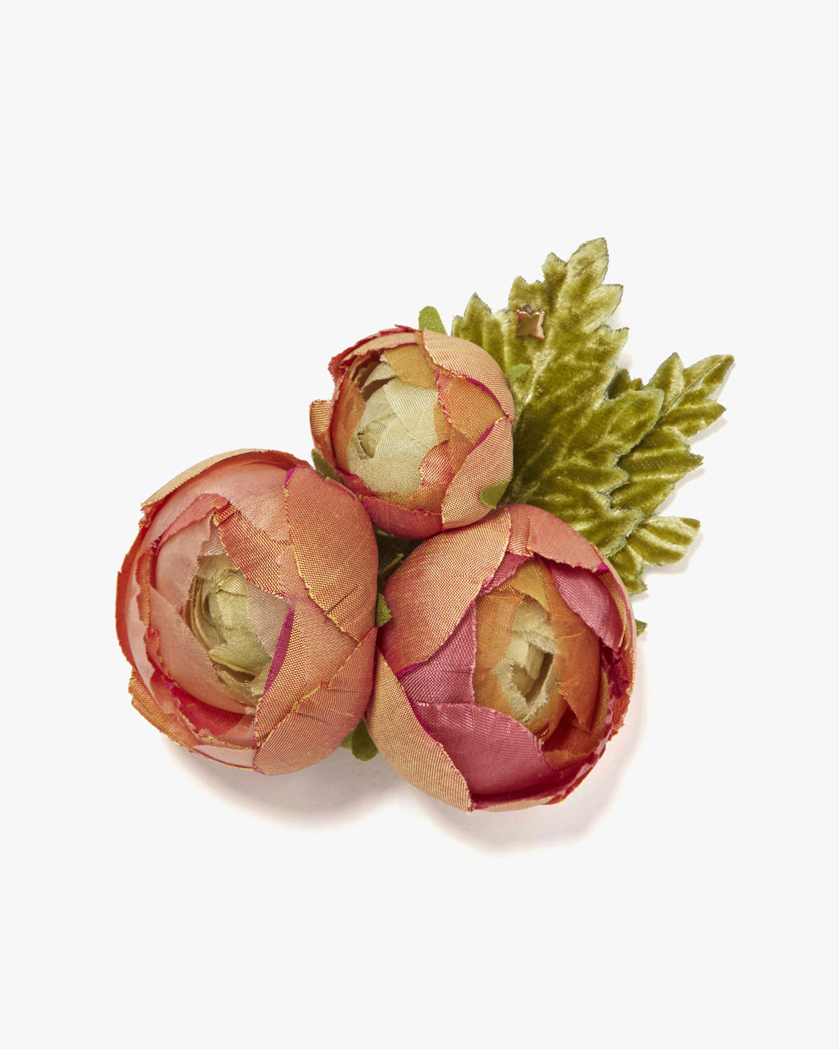 The Ranunculus
