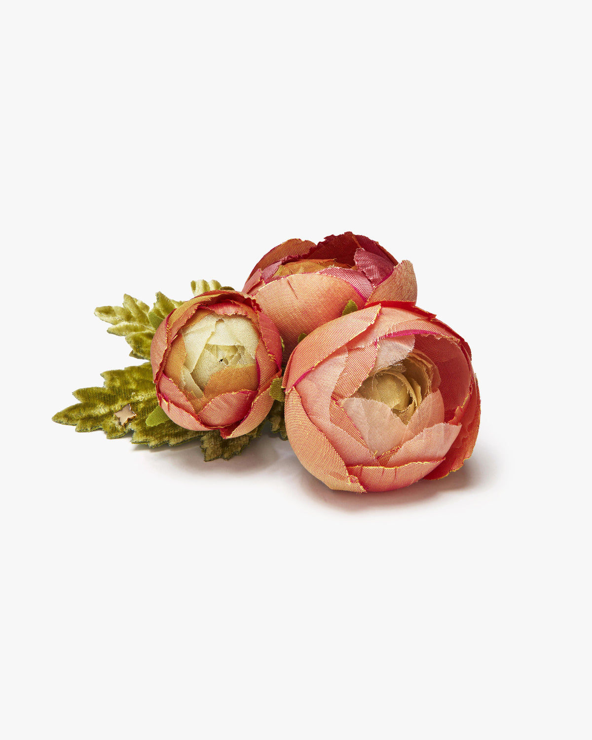 The Ranunculus