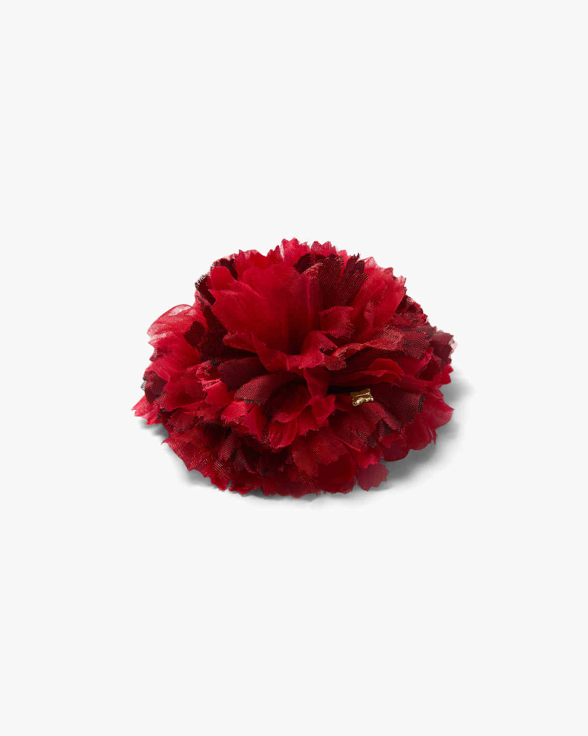 The Red Carnation