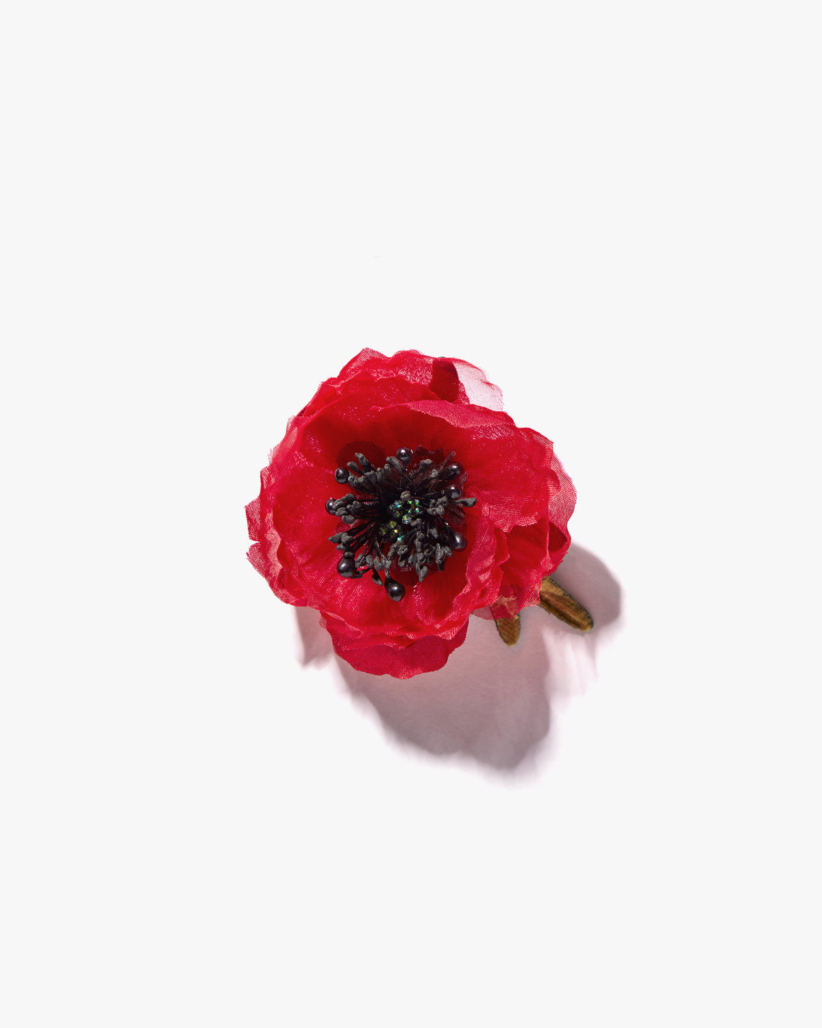 The Red Poppy