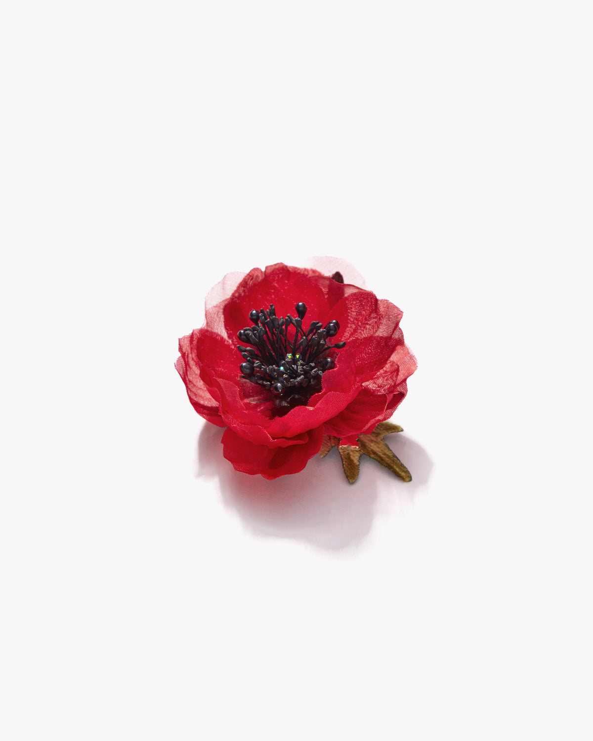The Red Poppy