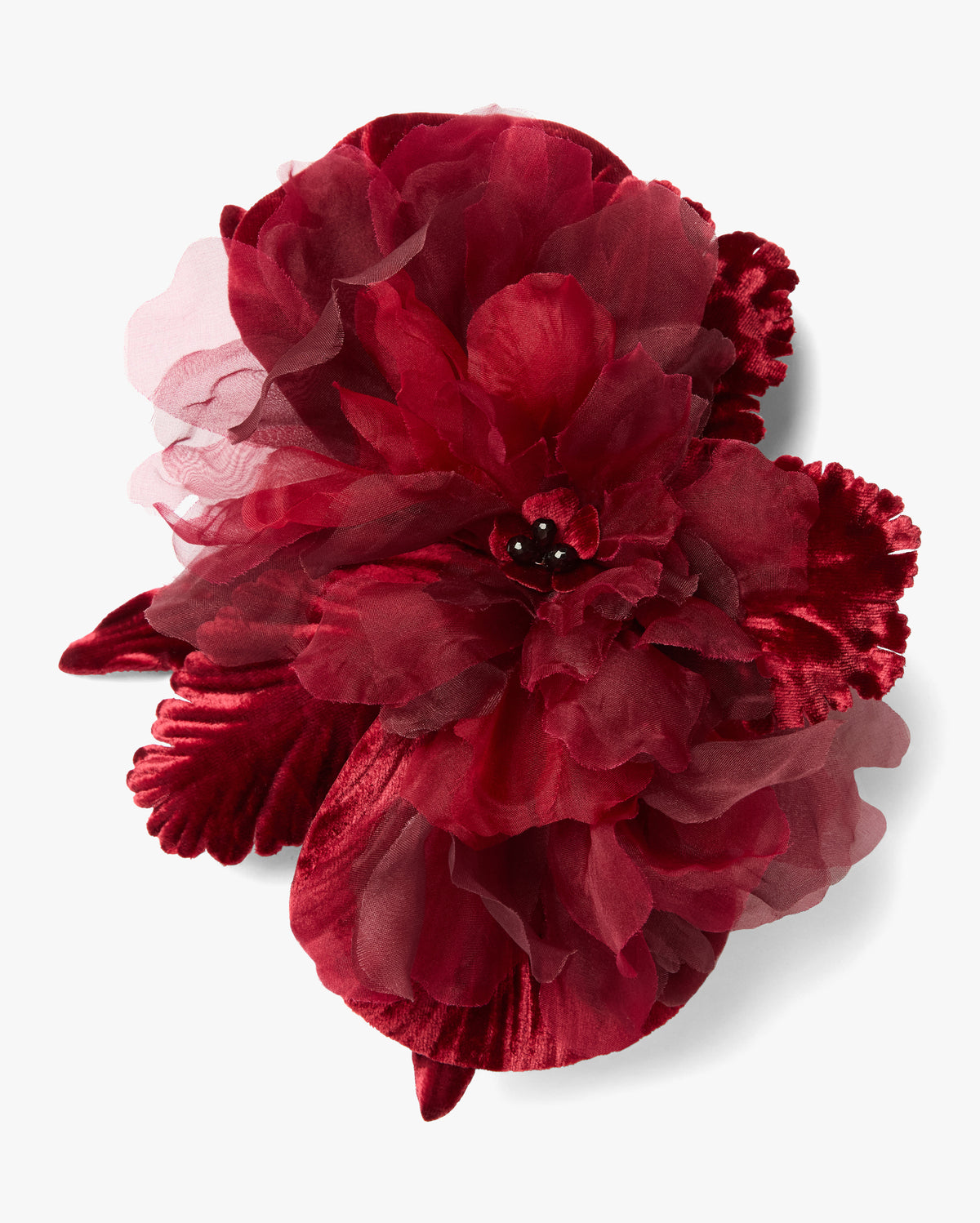 The Scarlet Orchid