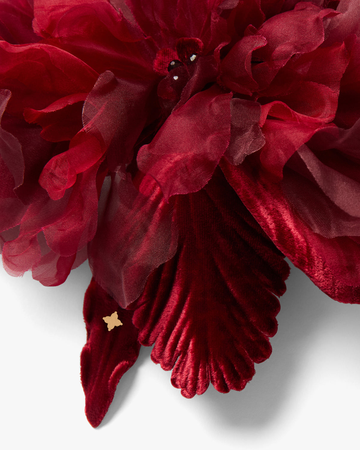 The Scarlet Orchid