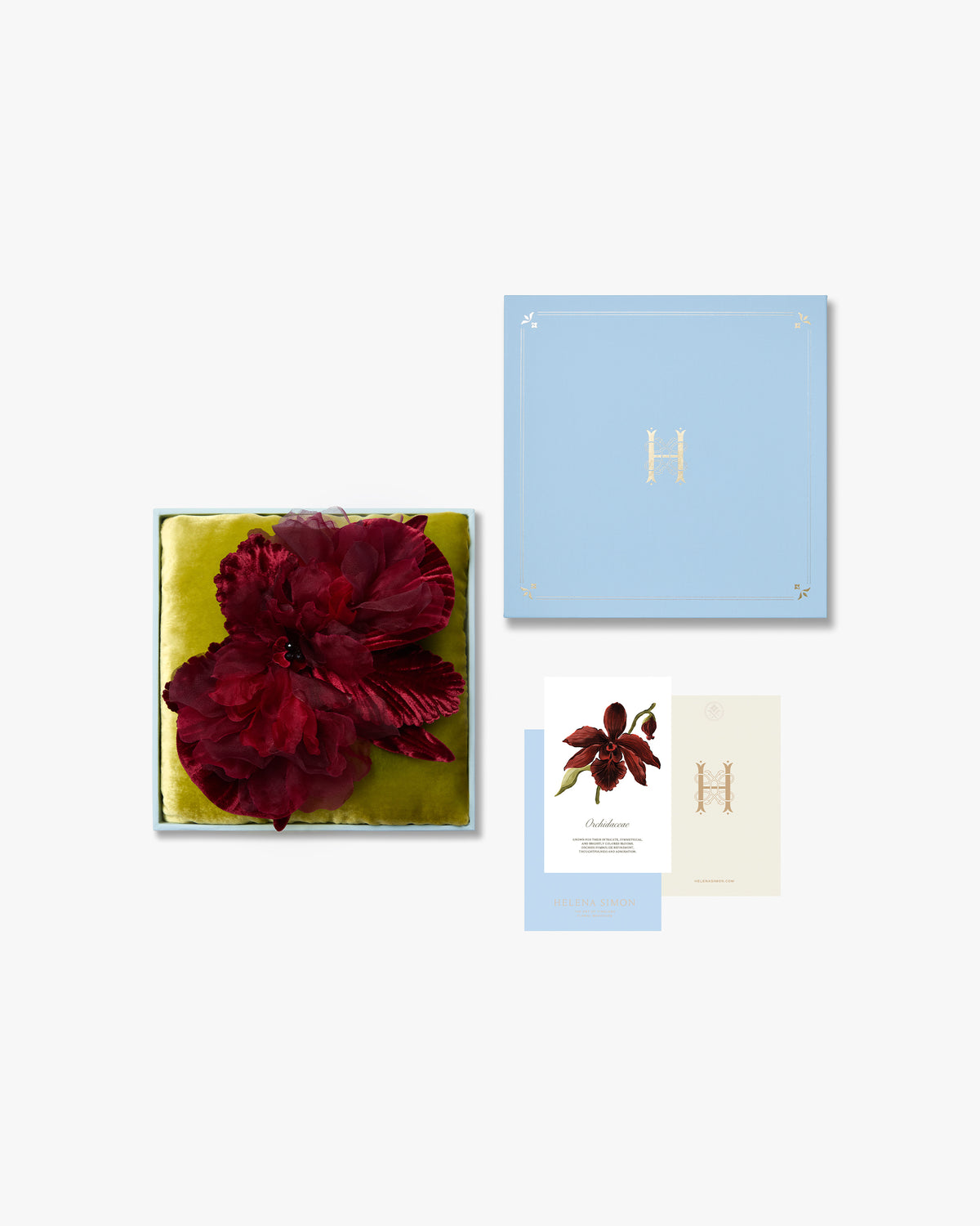 The Scarlet Orchid