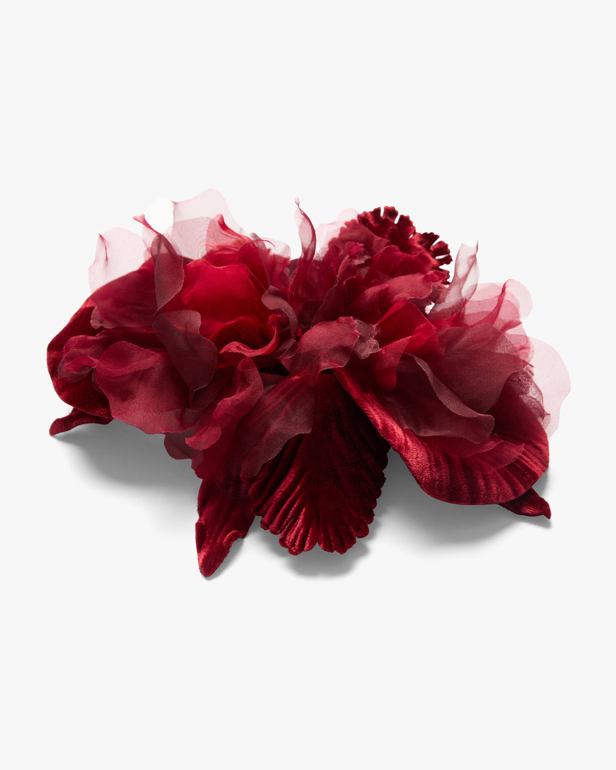 The Scarlet Orchid