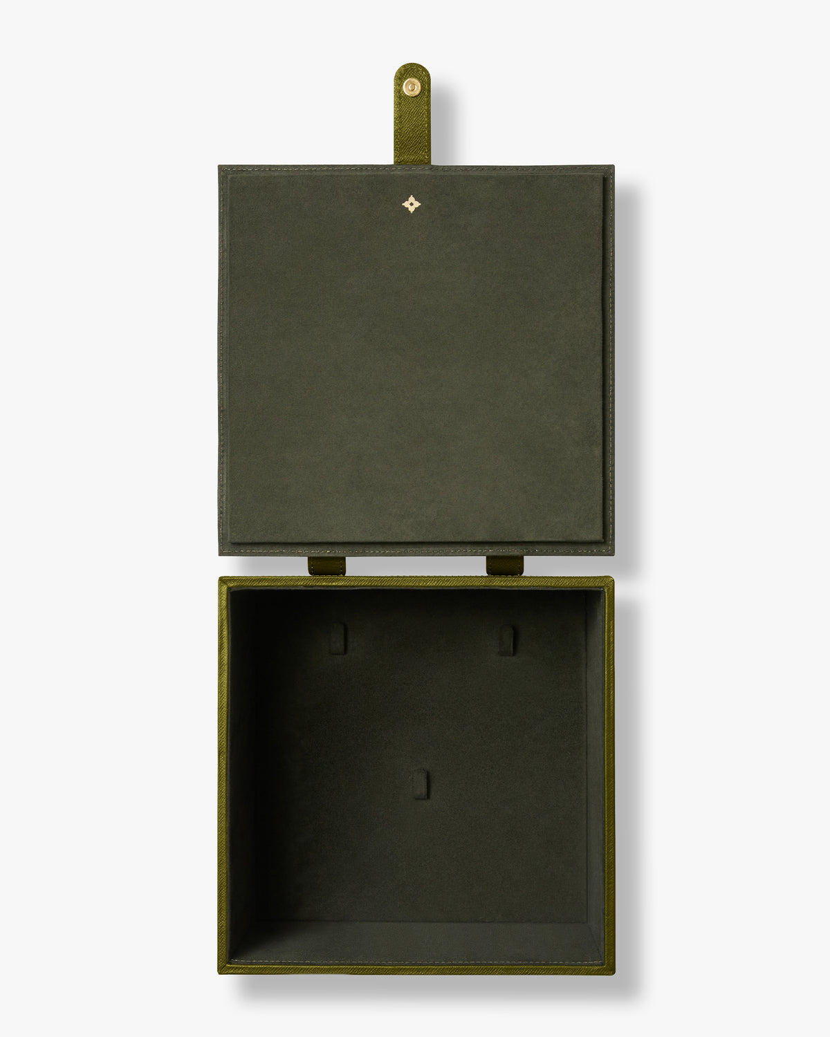 The Large Travel and Storage Case