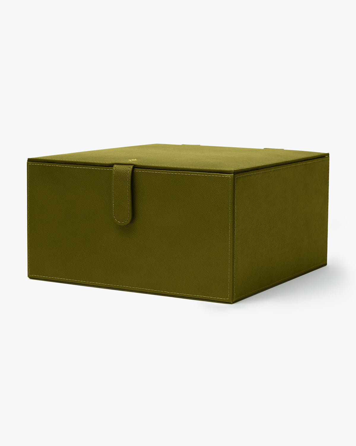 The Large Travel and Storage Case