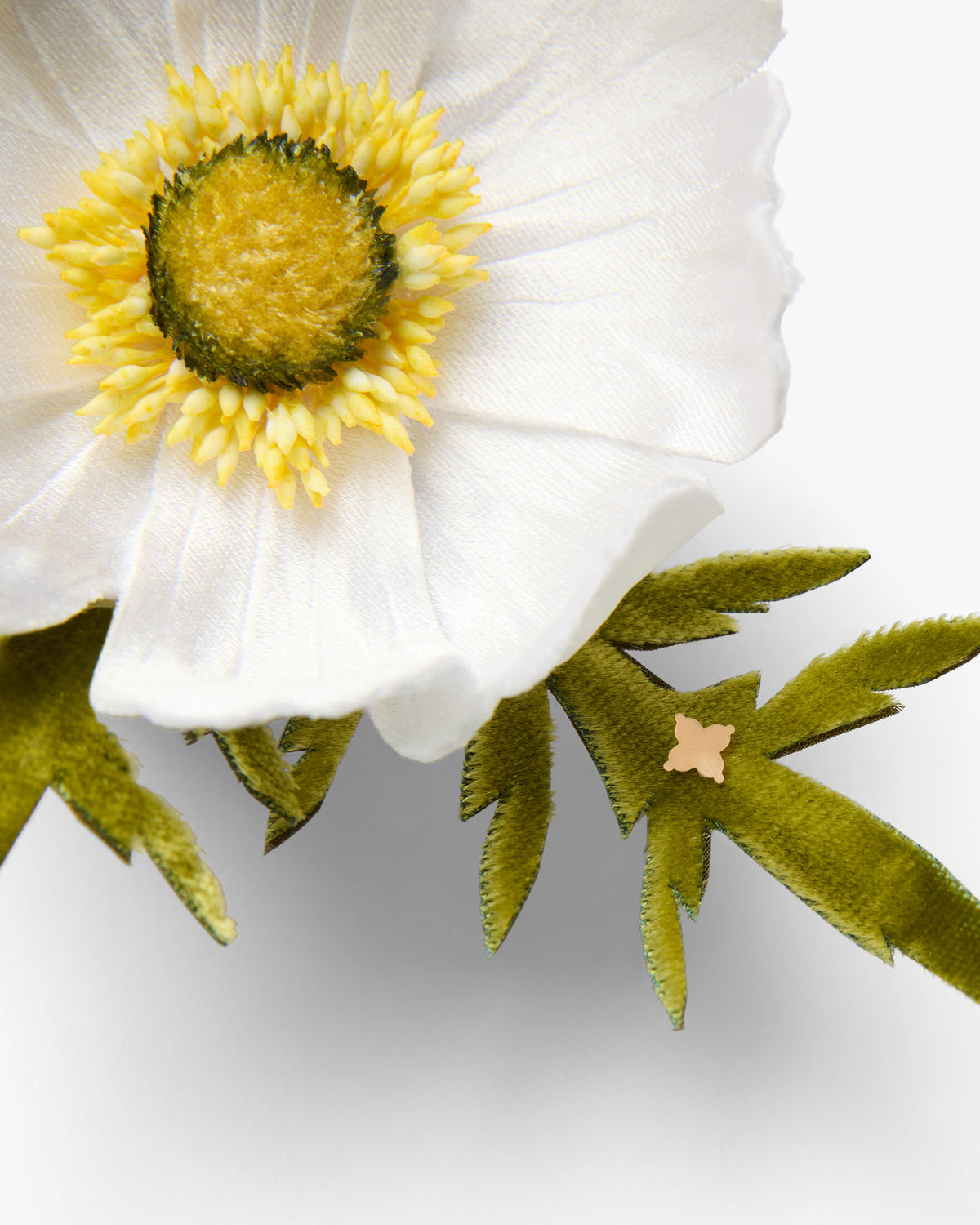 The White Cosmos