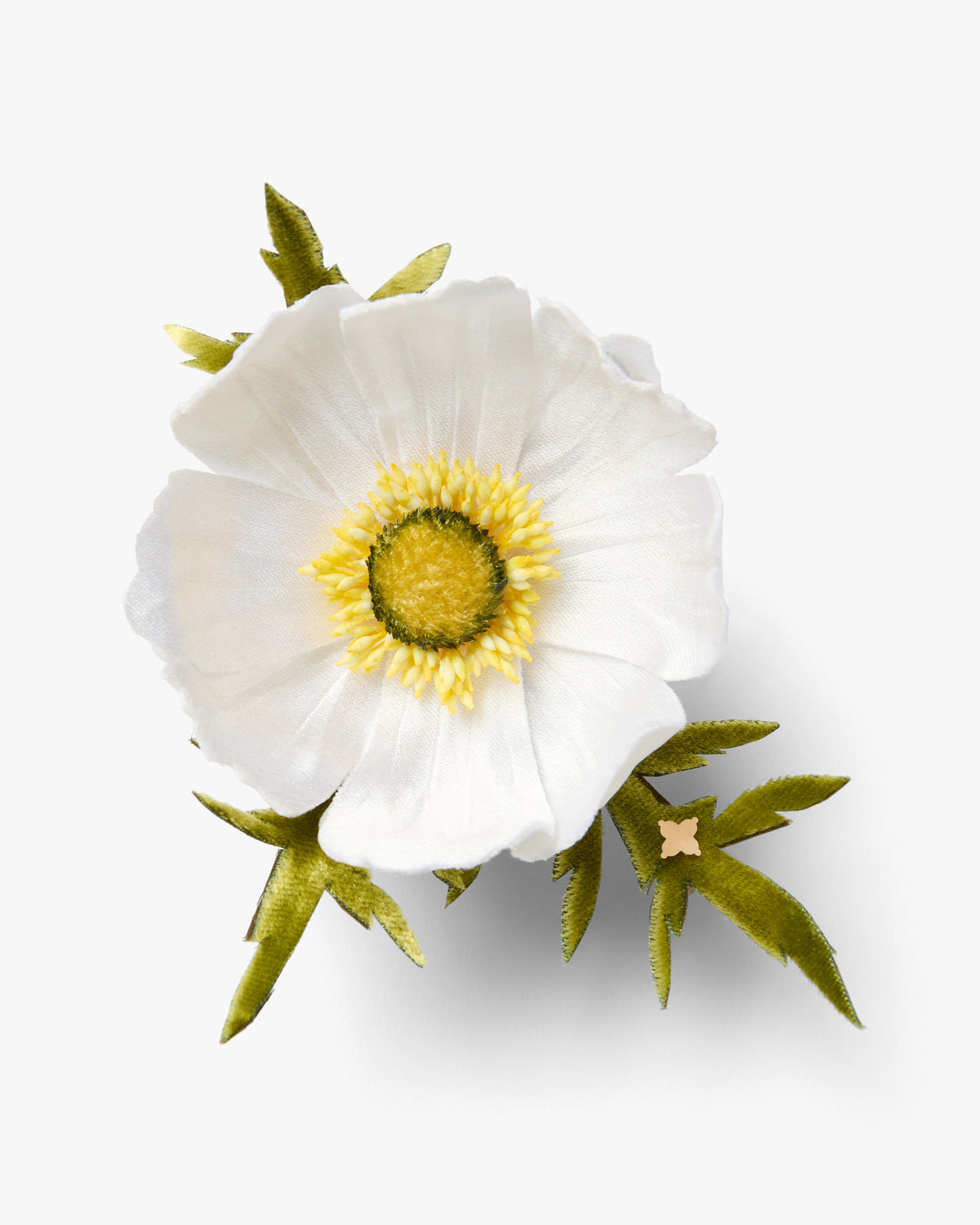 The White Cosmos