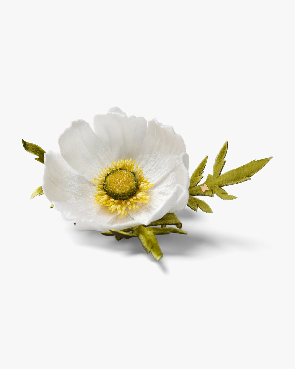 The White Cosmos