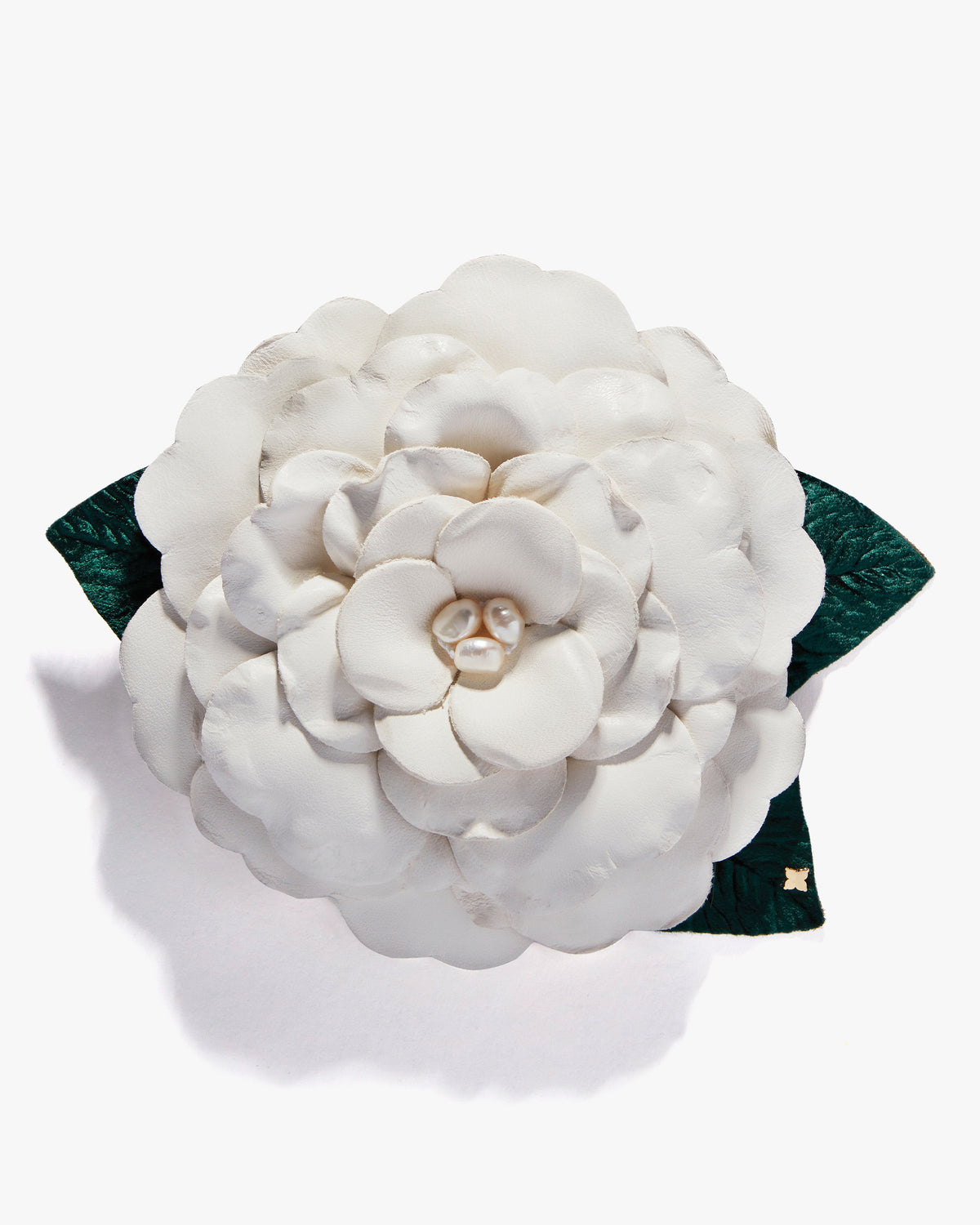 Large Gardenia