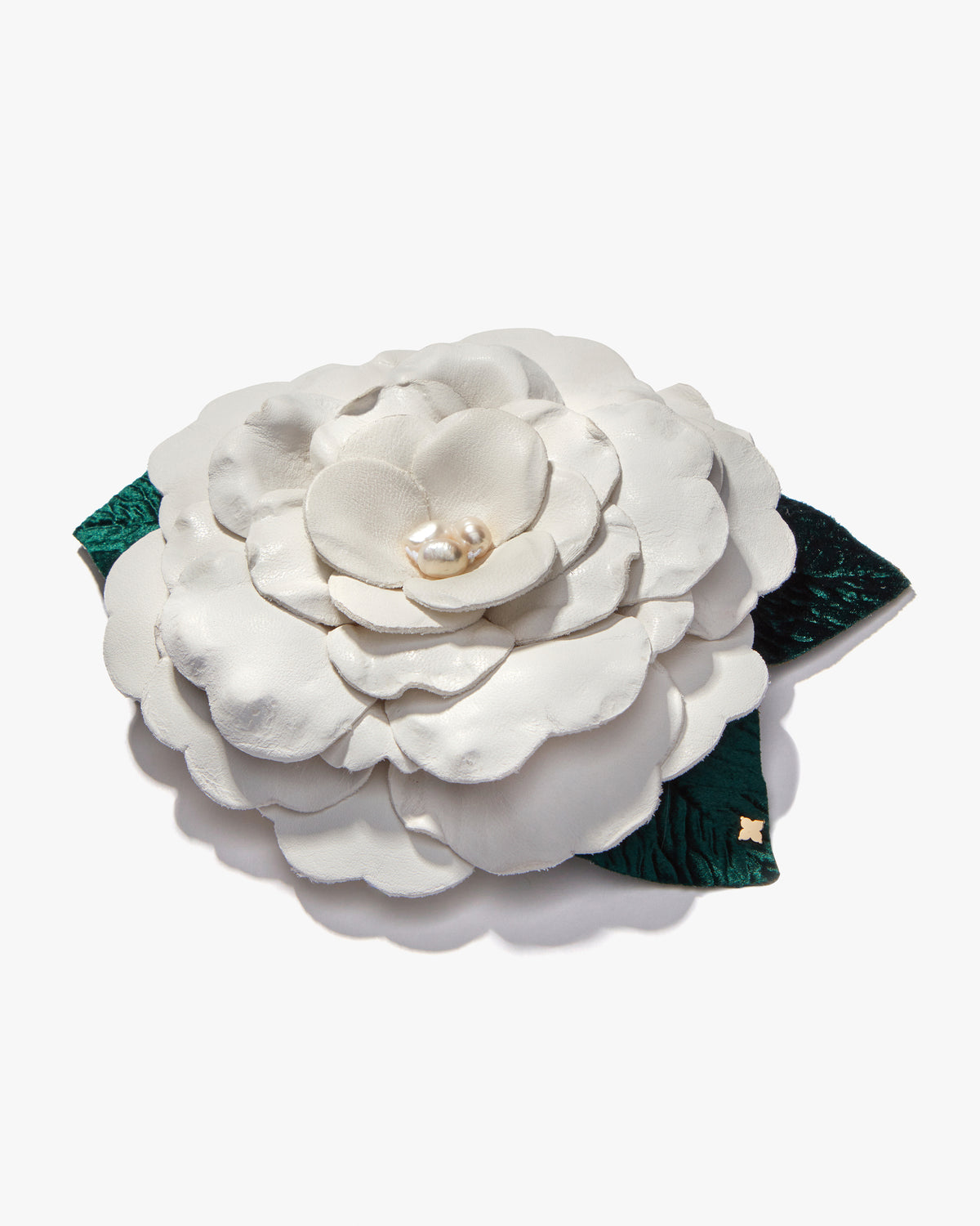 Large Gardenia