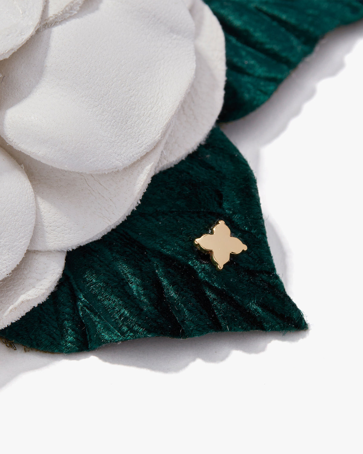 Small Gardenia
