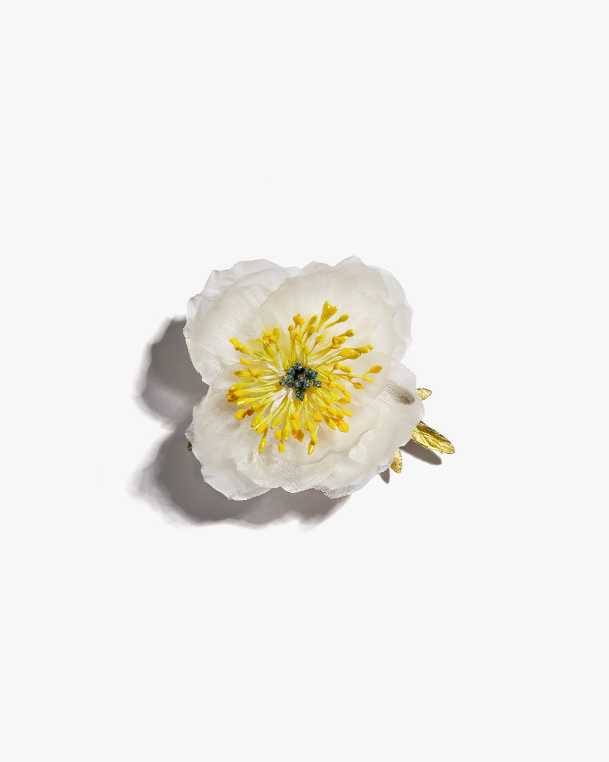 The White Poppy