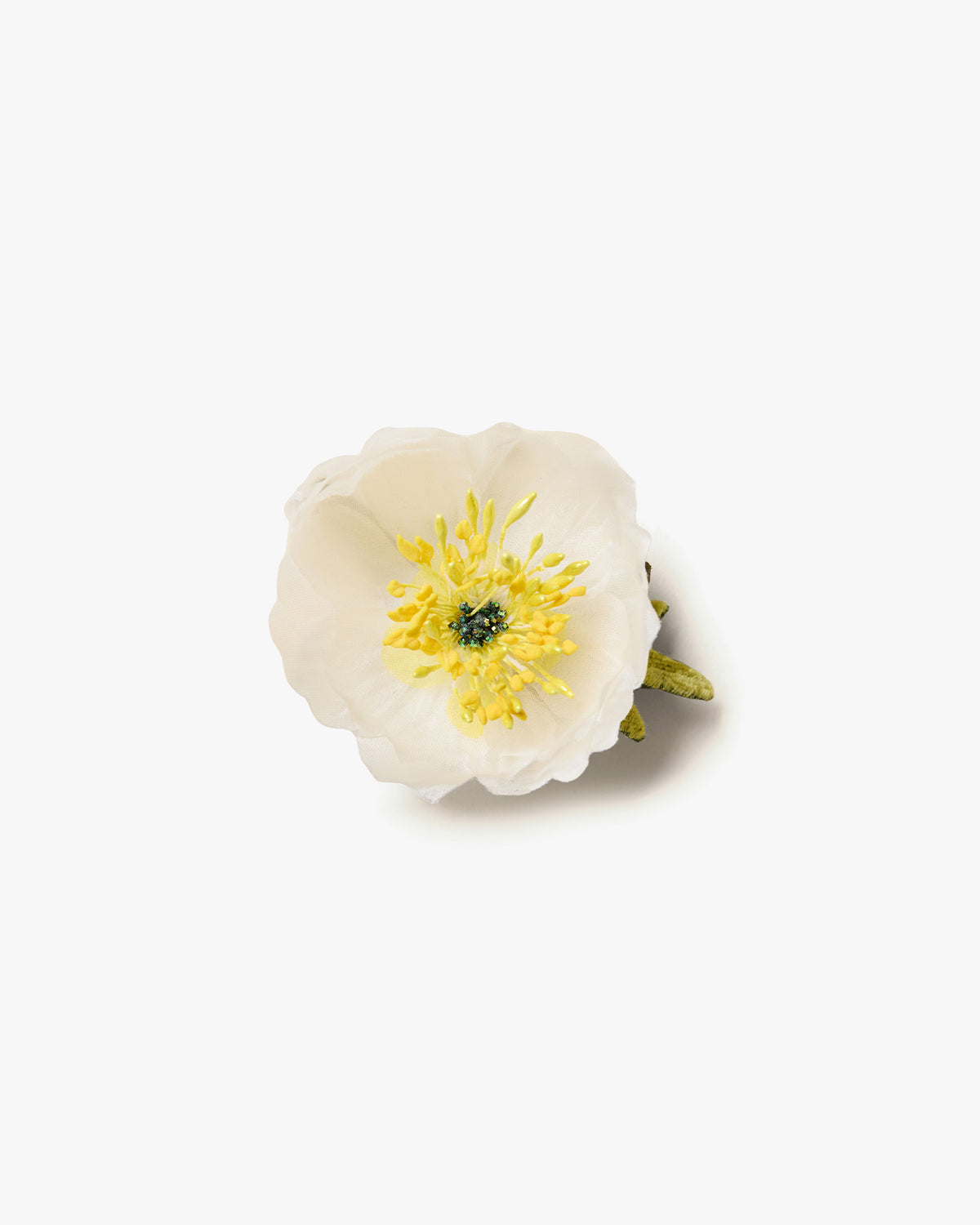 The White Poppy