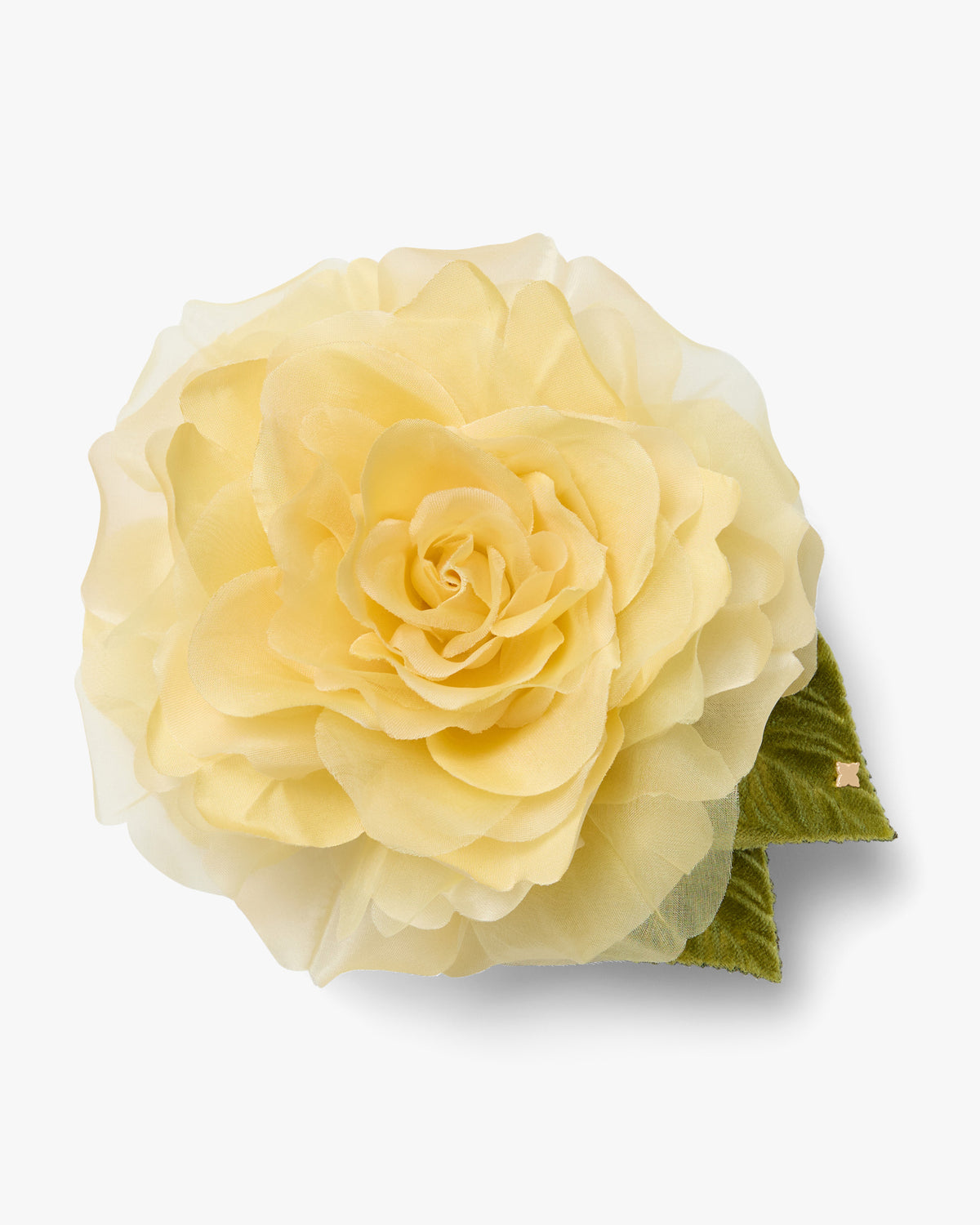 Large Yellow Rose