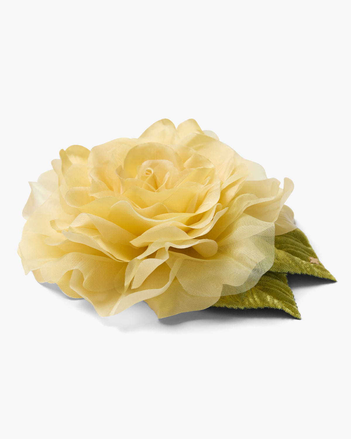 Large Yellow Rose