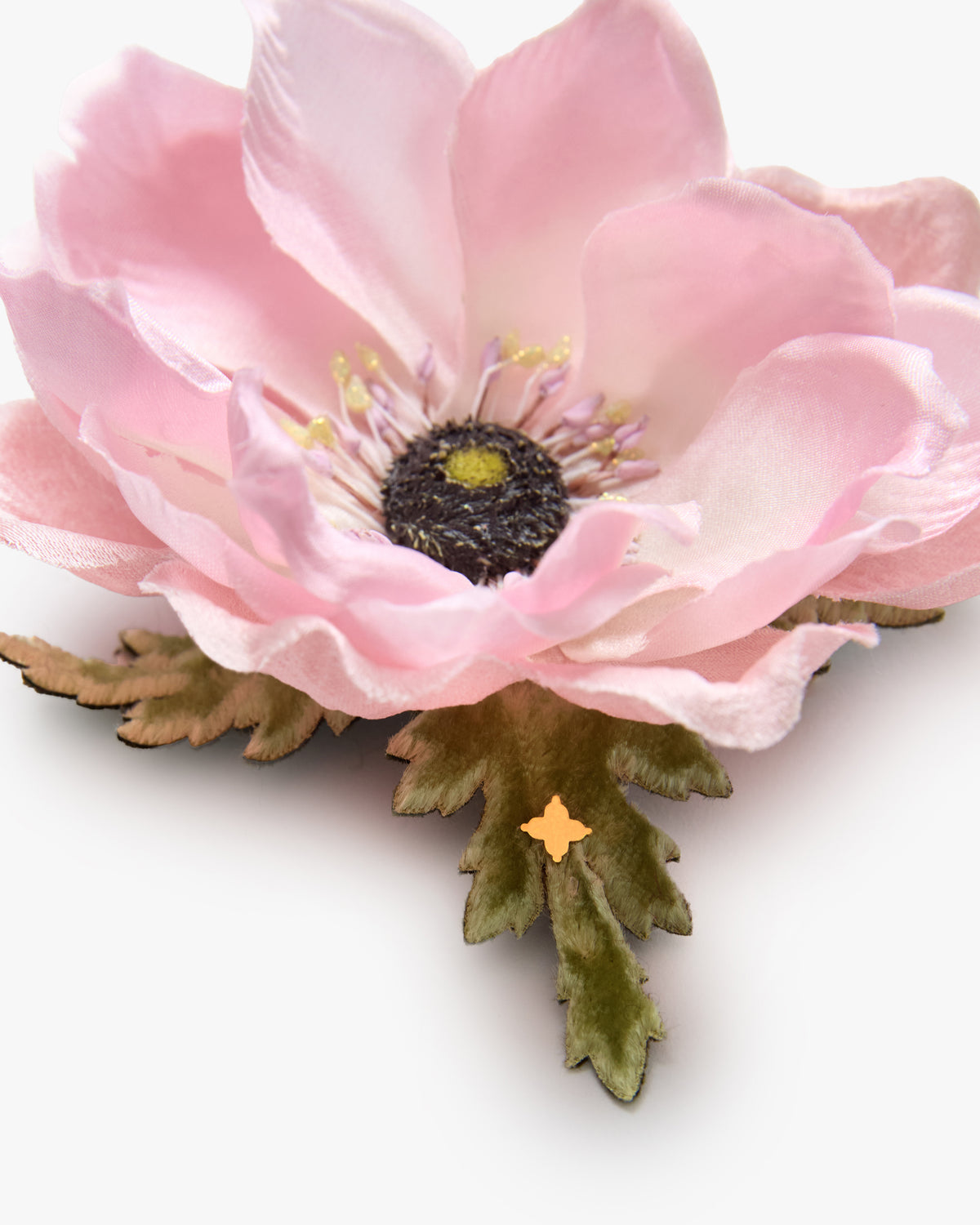 The Blush Anemone