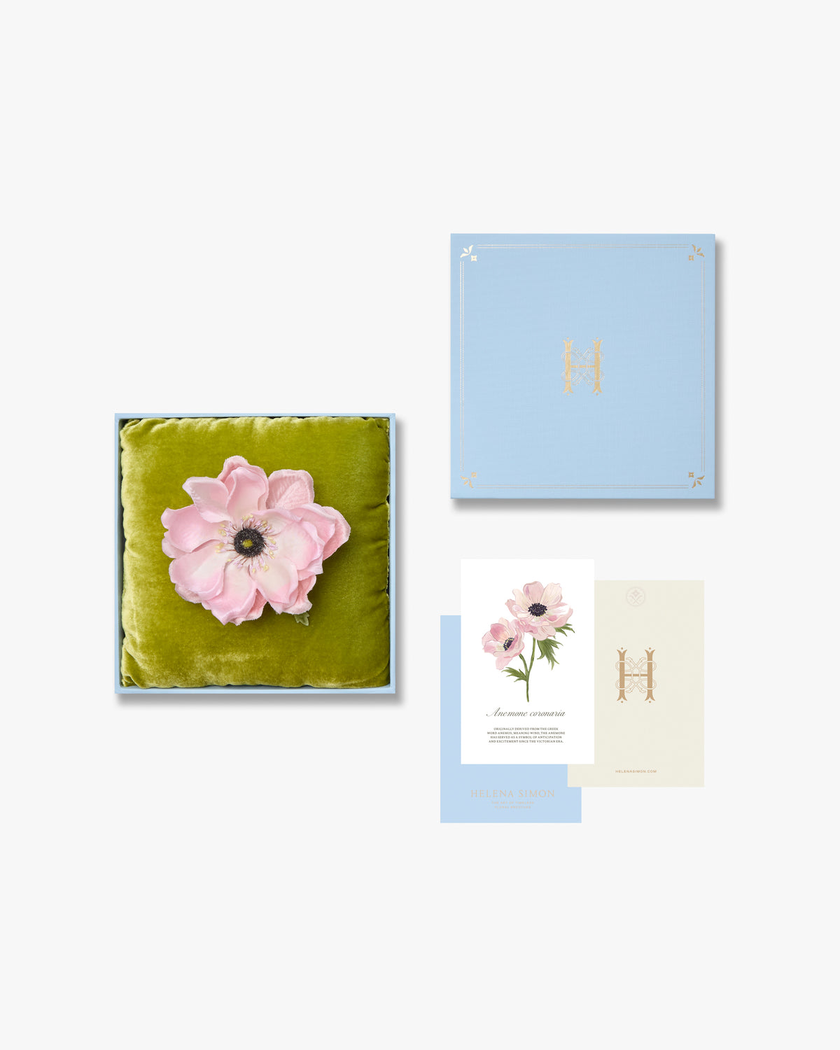 The Blush Anemone