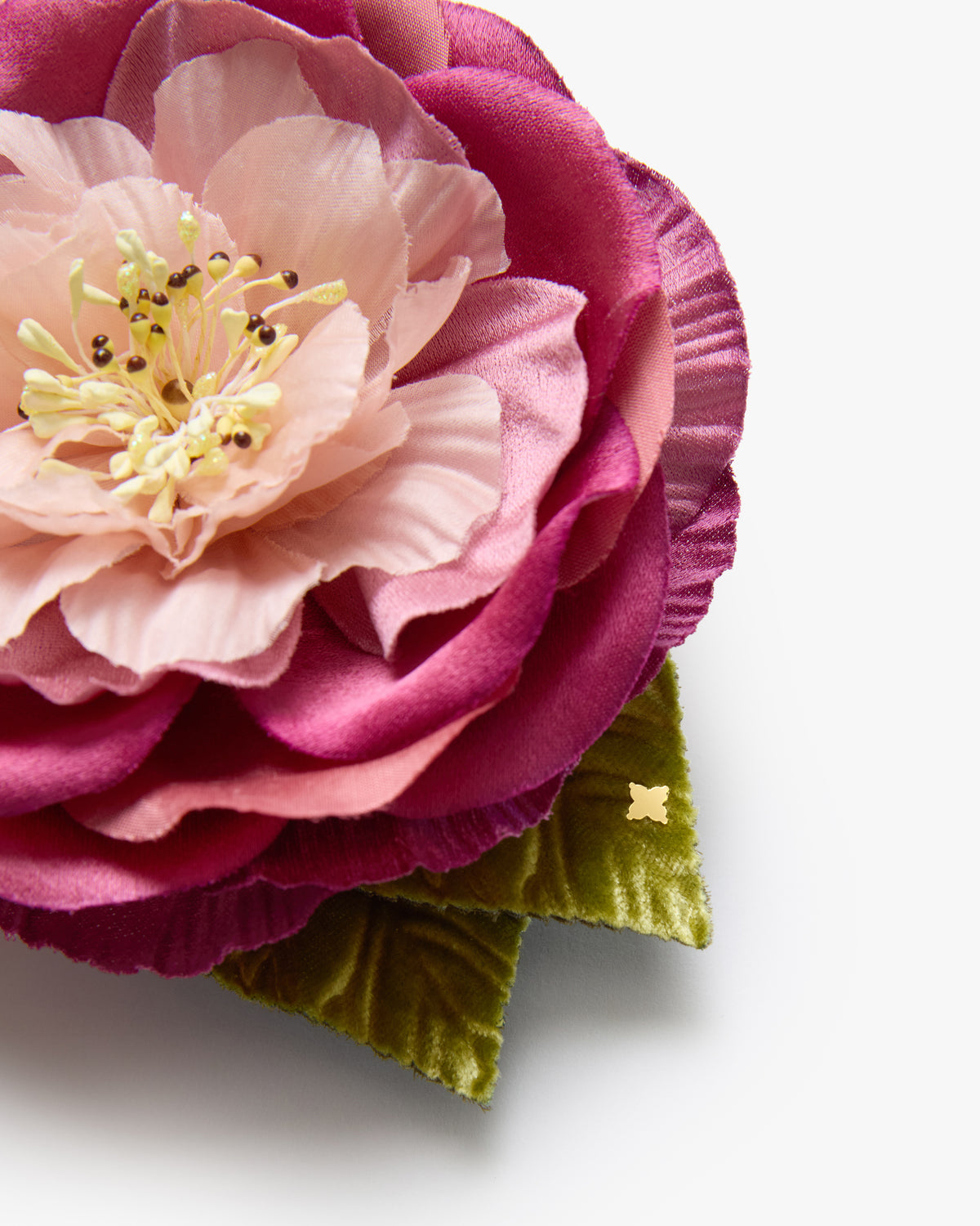 The Camellia