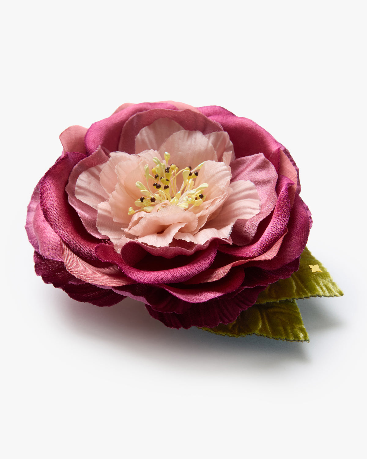 The Camellia