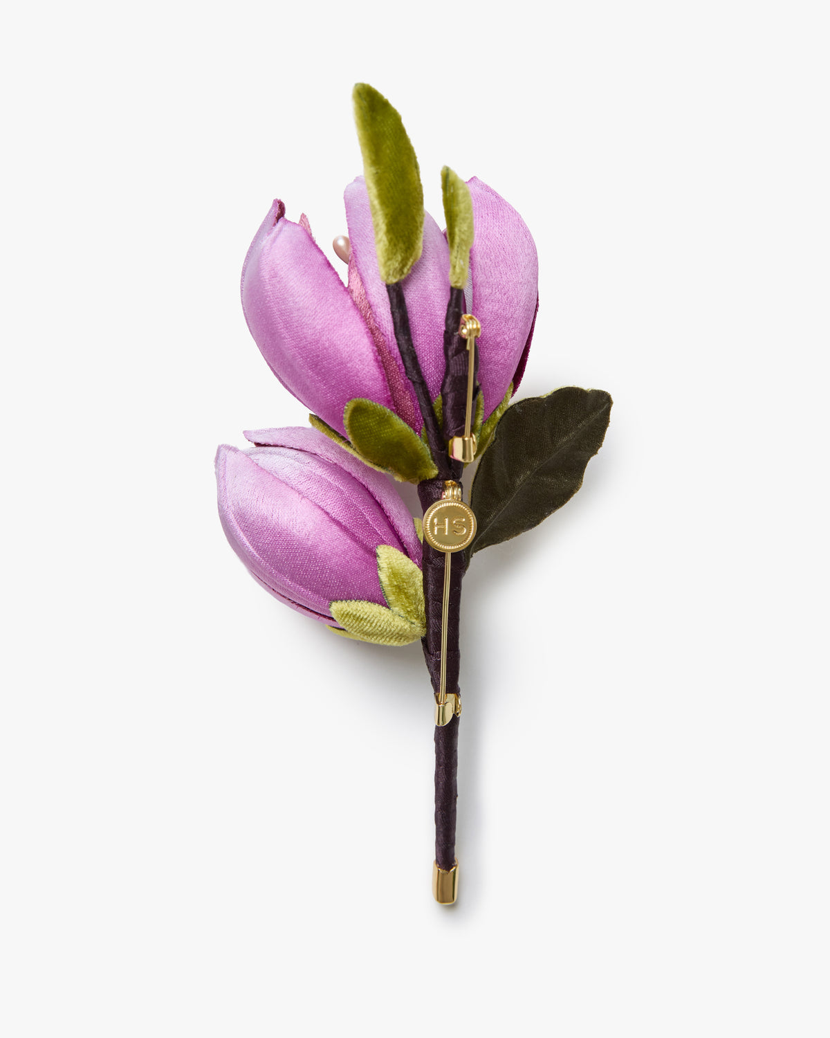 The Saucer Magnolia Branch