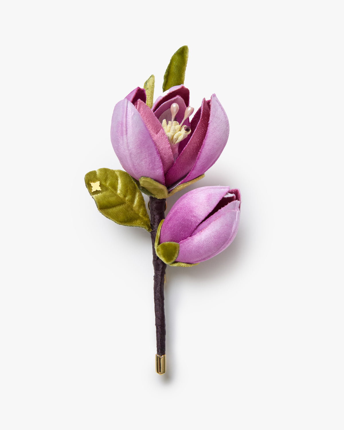 The Saucer Magnolia Branch