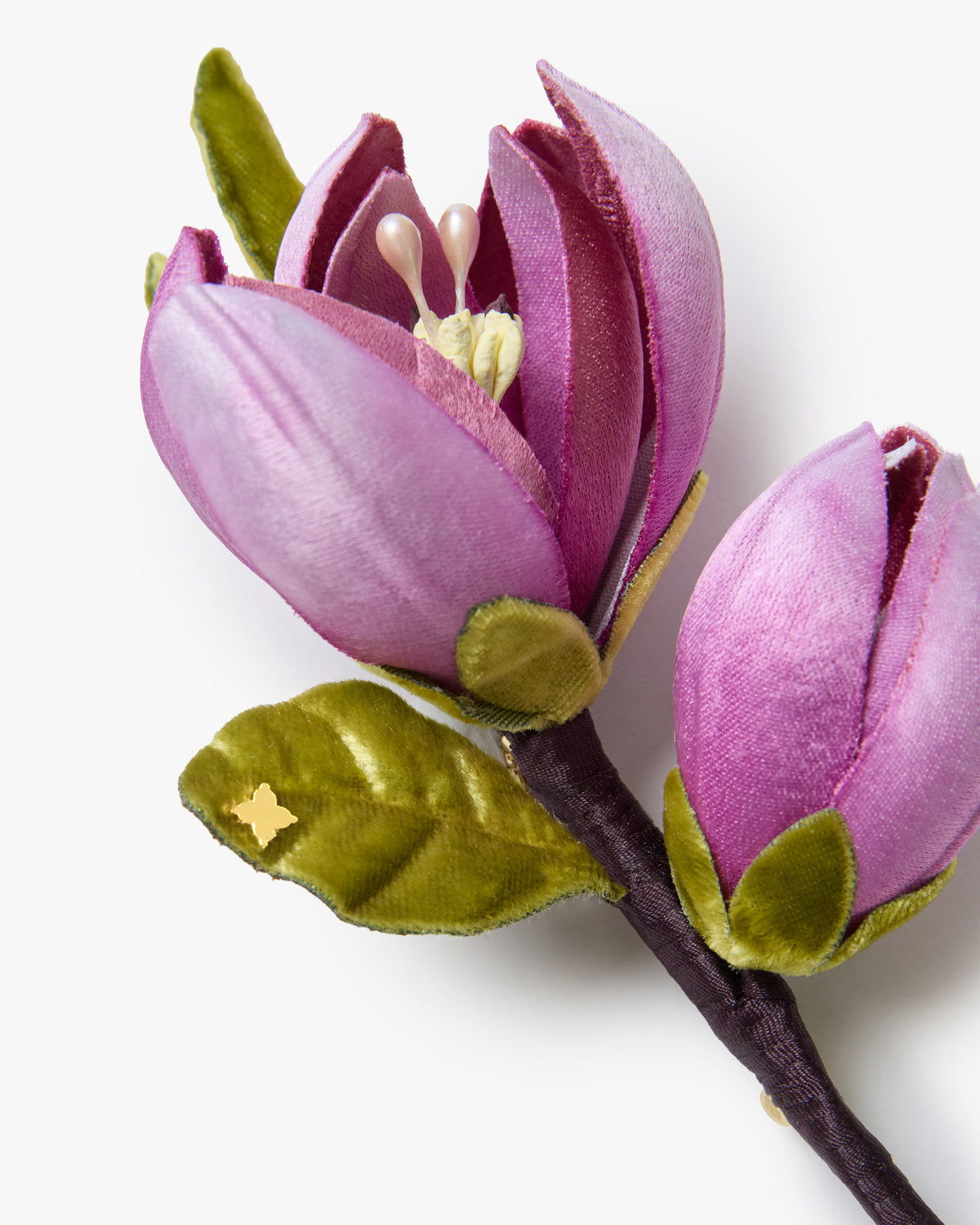 The Saucer Magnolia Branch
