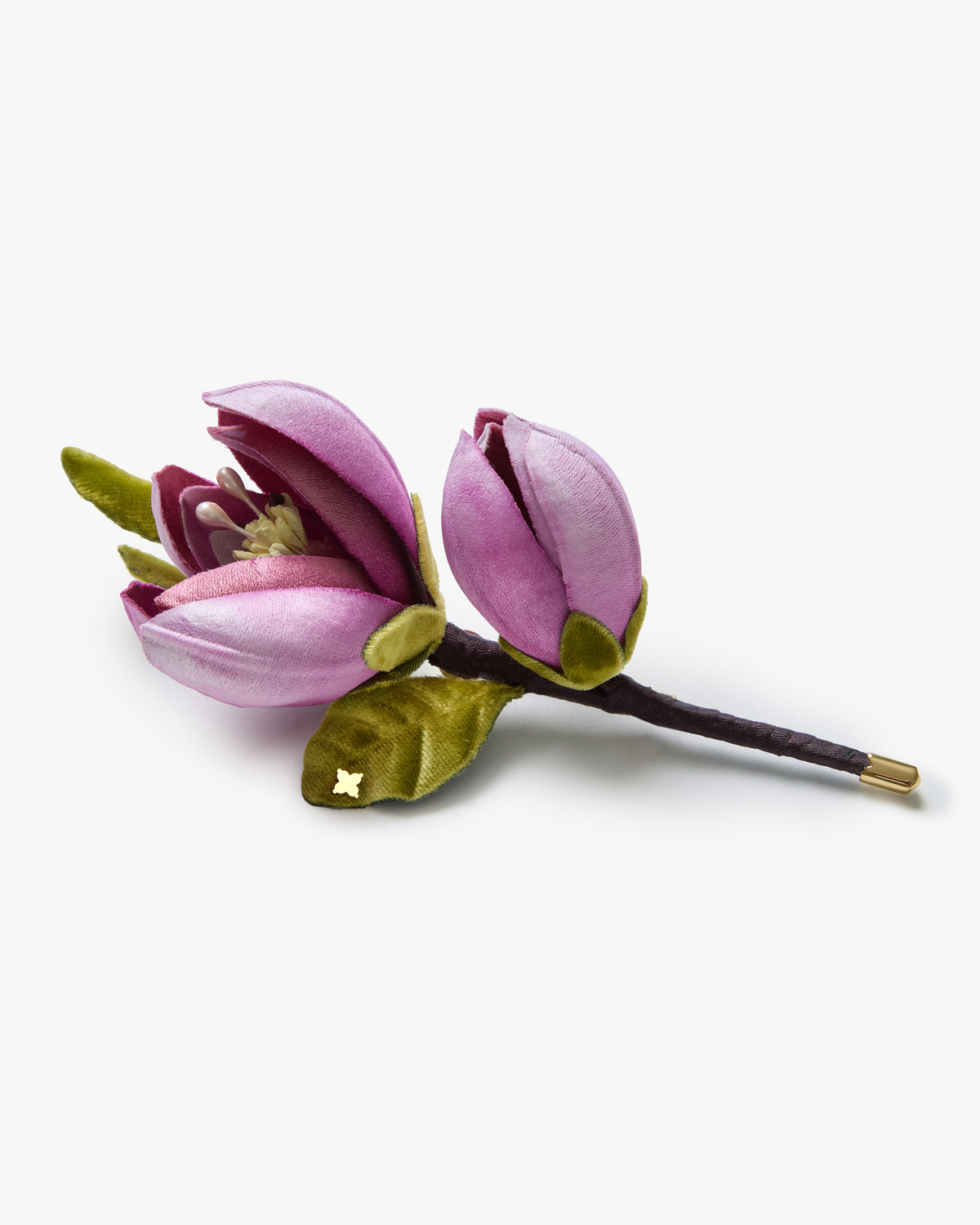 The Saucer Magnolia Branch