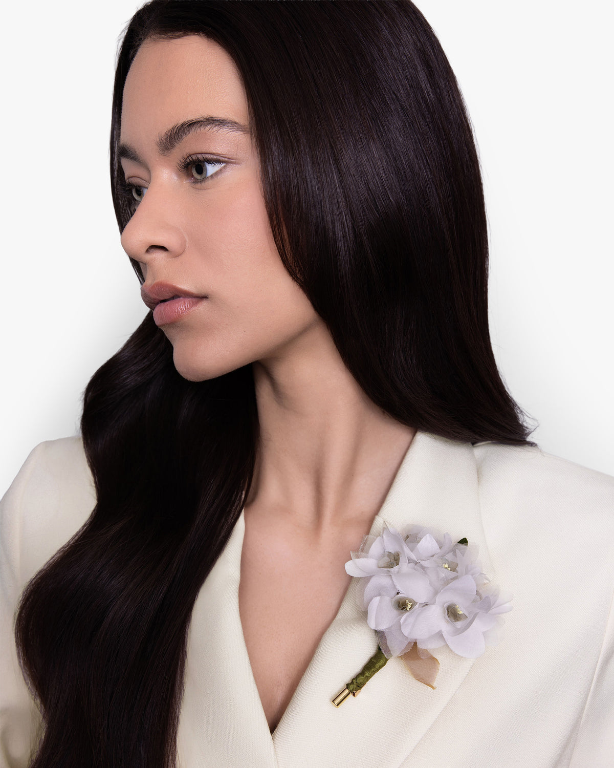 The Paperwhite Narcissus