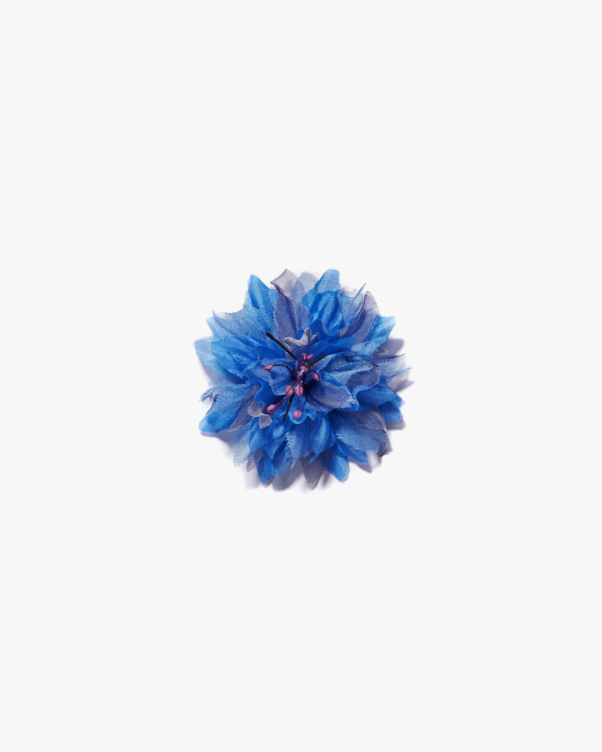 The Blue Cornflower