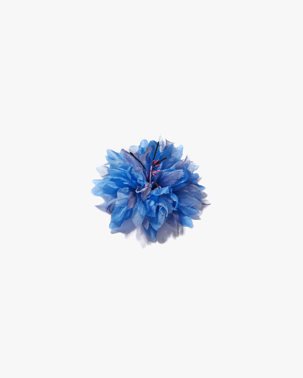 The Blue Cornflower