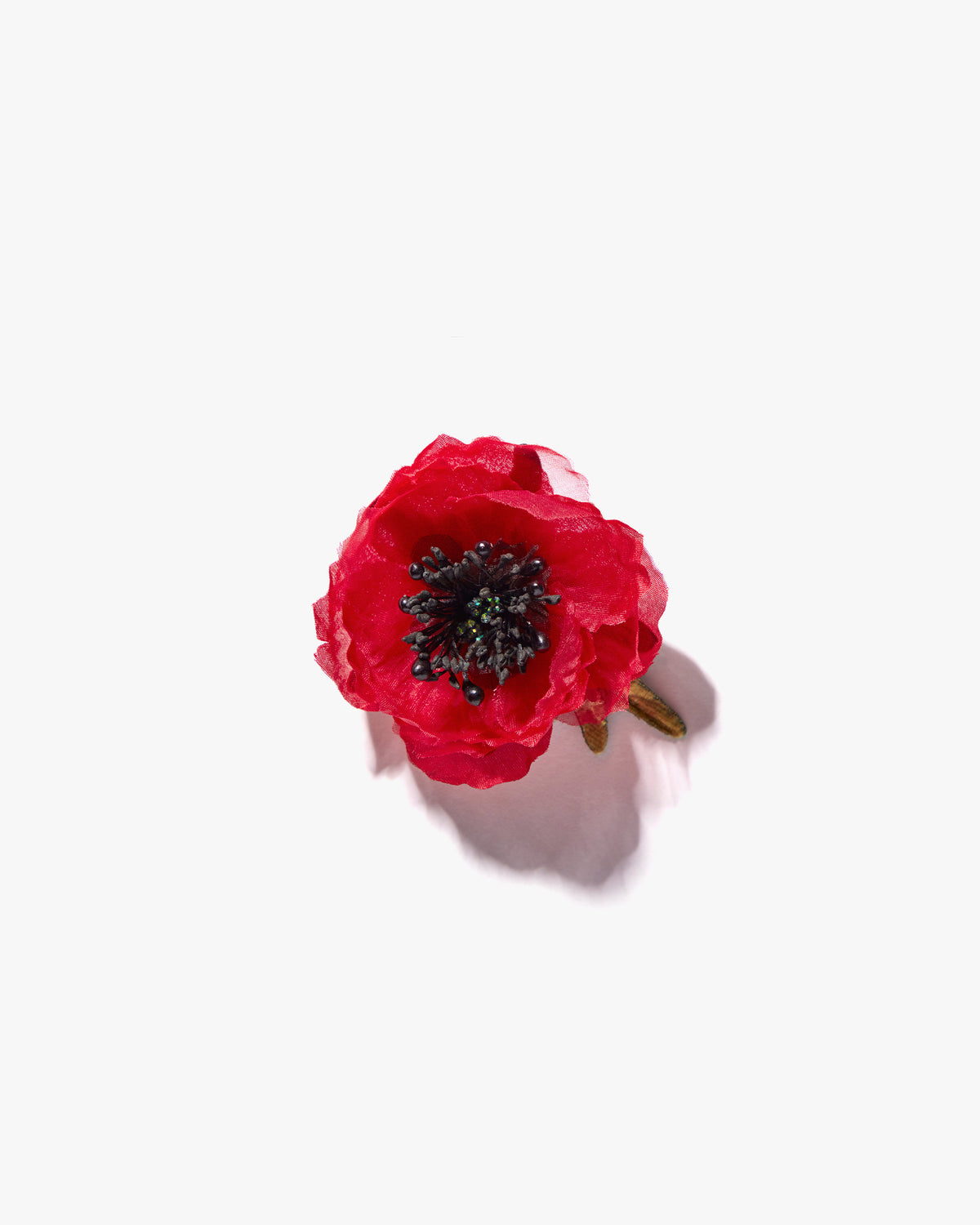 The Red Poppy