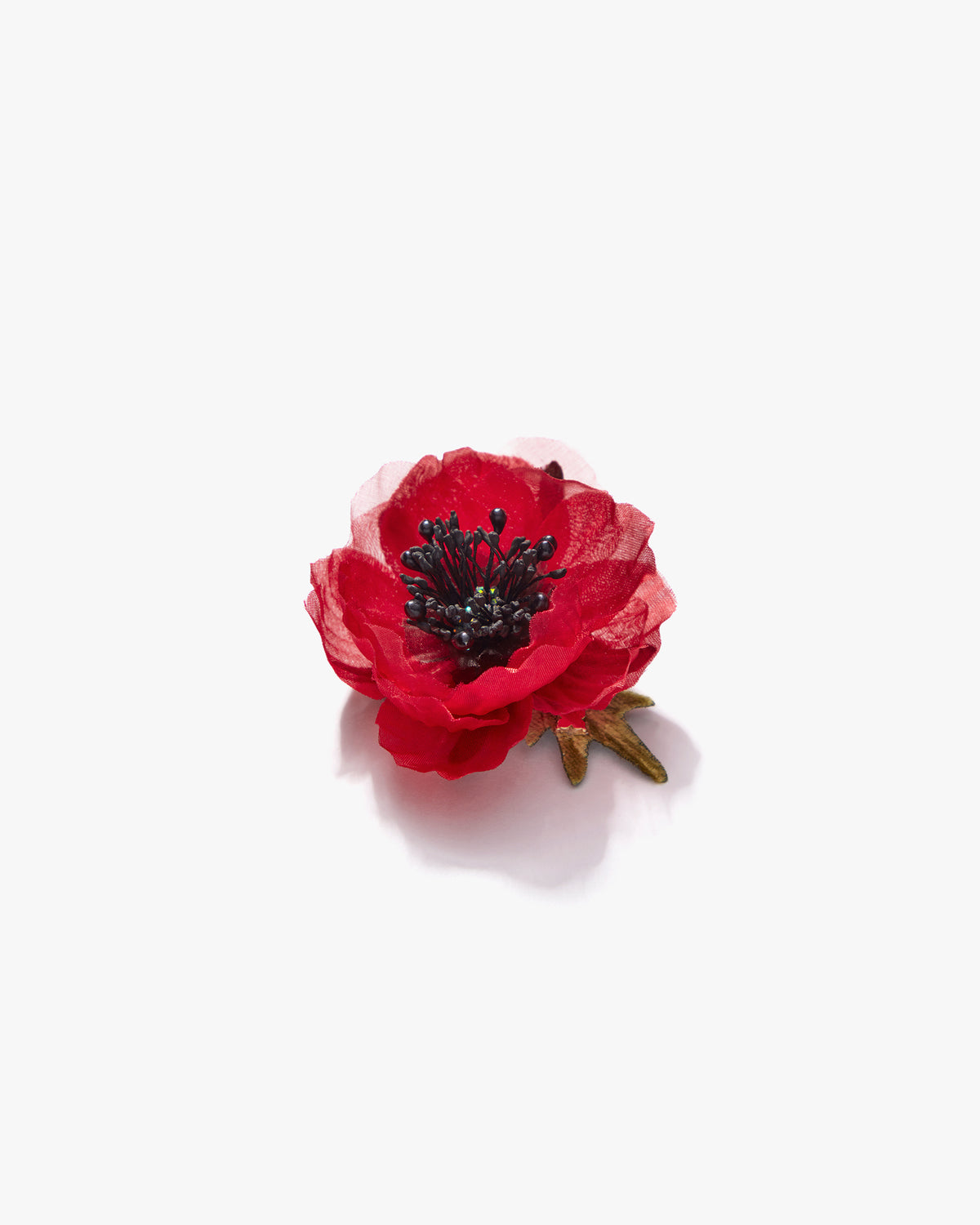 The Red Poppy